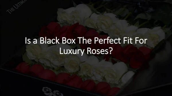 Is a Black Box The Perfect Fit For Luxury Roses?