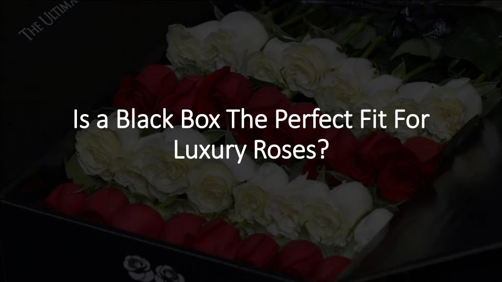 is a black box the perfect fit for luxury roses
