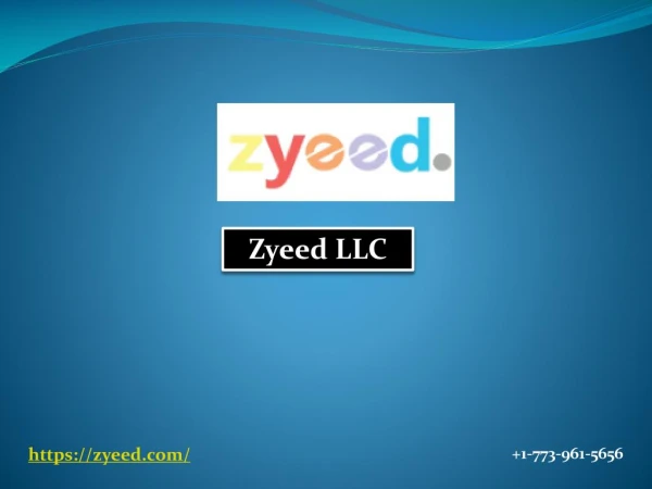 Get Online Shopping from Zyeed LLC