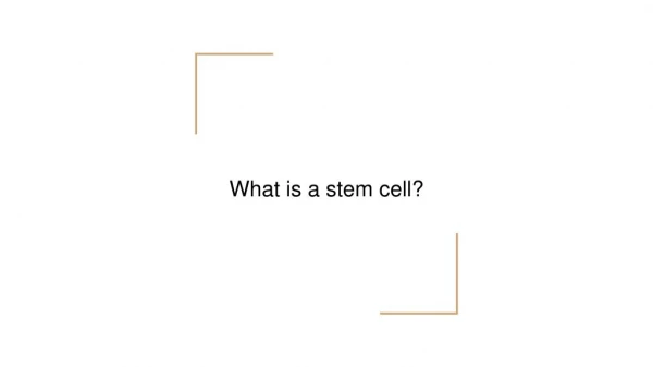 what is stem cell ?