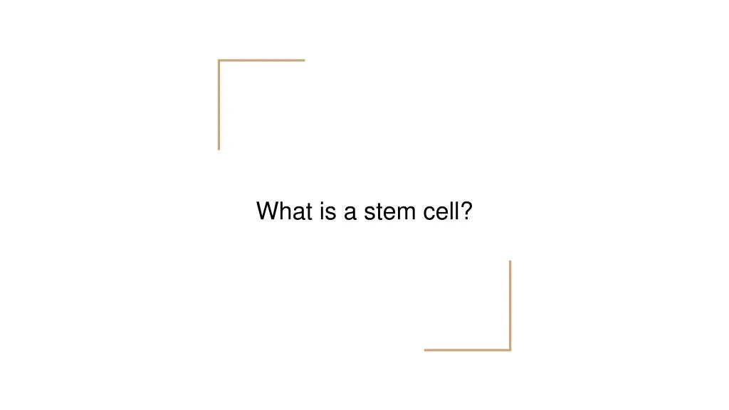 what is a stem cell