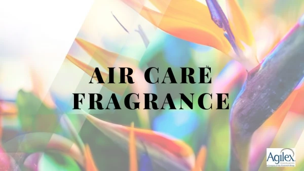 Air Care Fragrance Manufacturers | Agilex Fragrances
