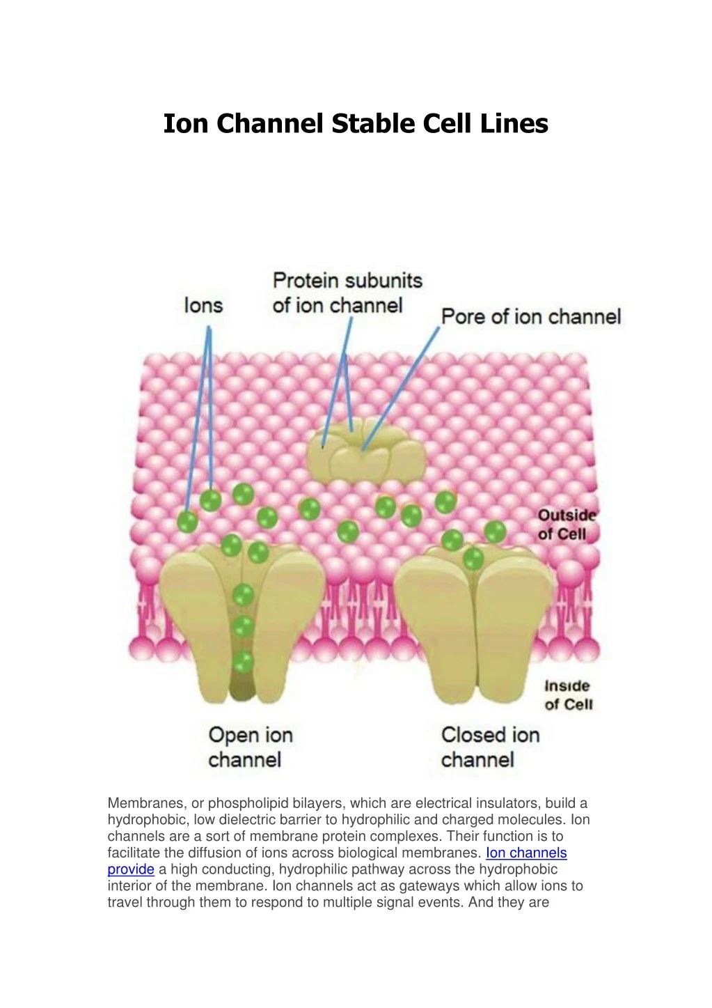 ion channel stable cell lines