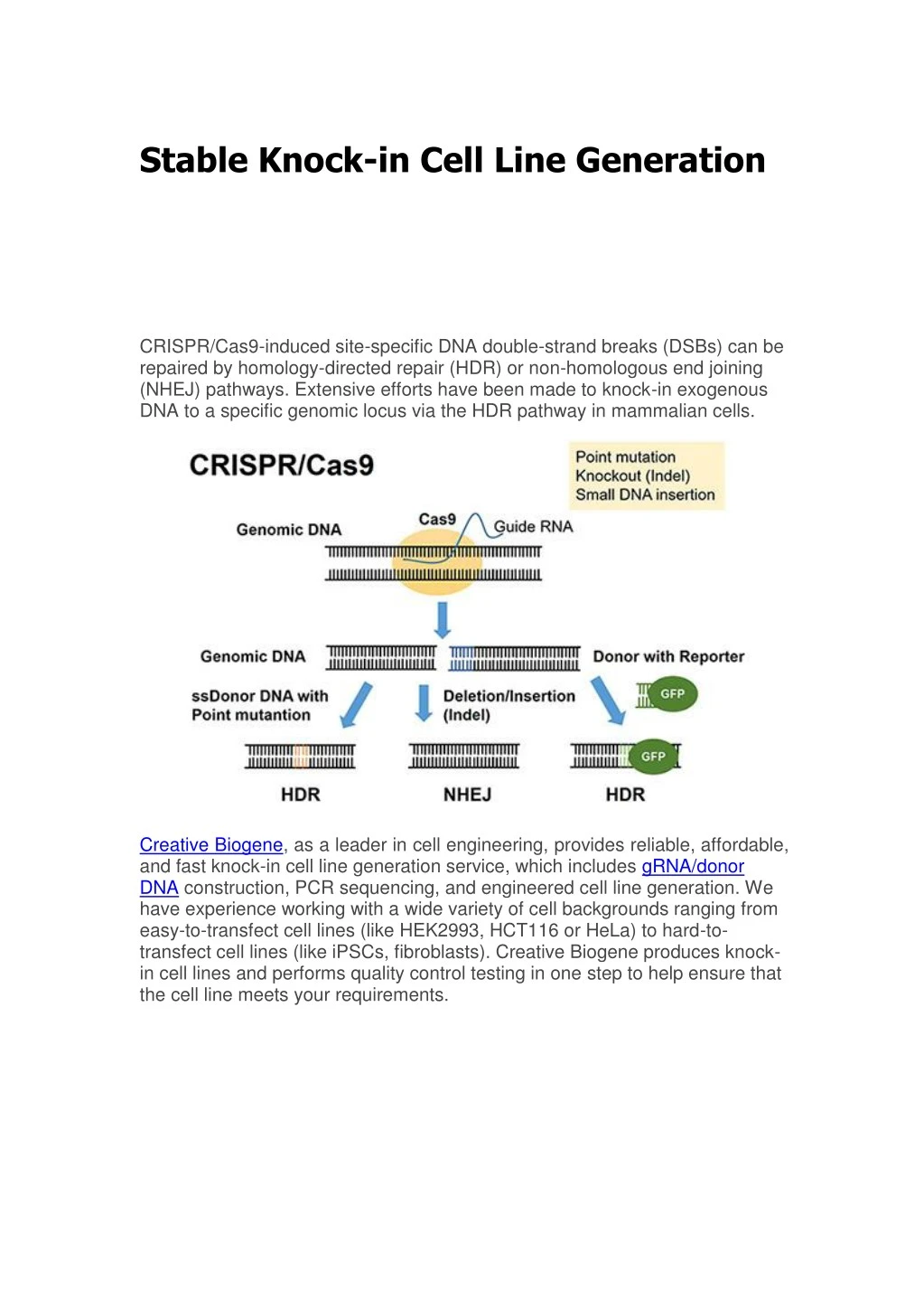 stable knock in cell line generation