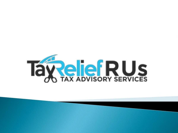 Professional Business and Tax consulting Services