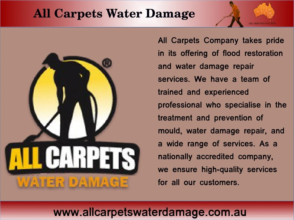 all carpets water damage