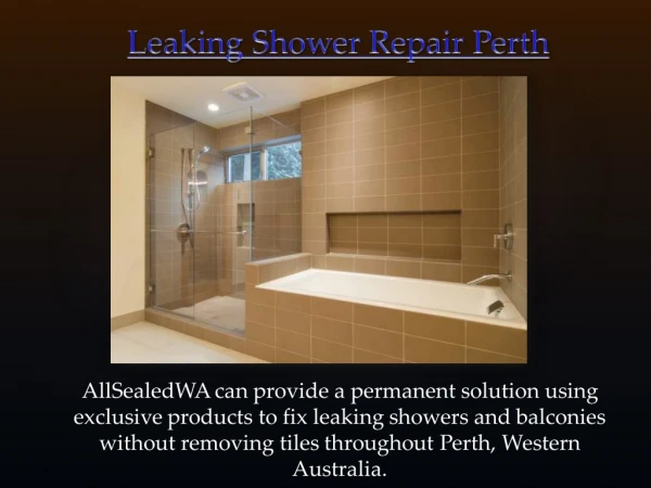 Leaking Shower Repair Perth