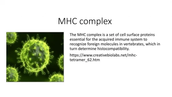 MHC Complex