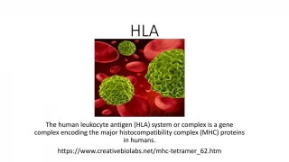 HLA - slide 1