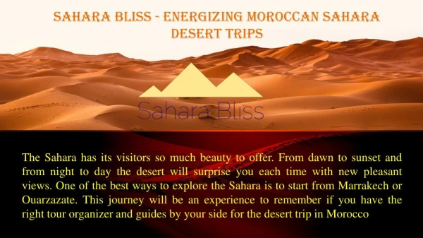 Energizing Moroccan Sahara Desert Trips