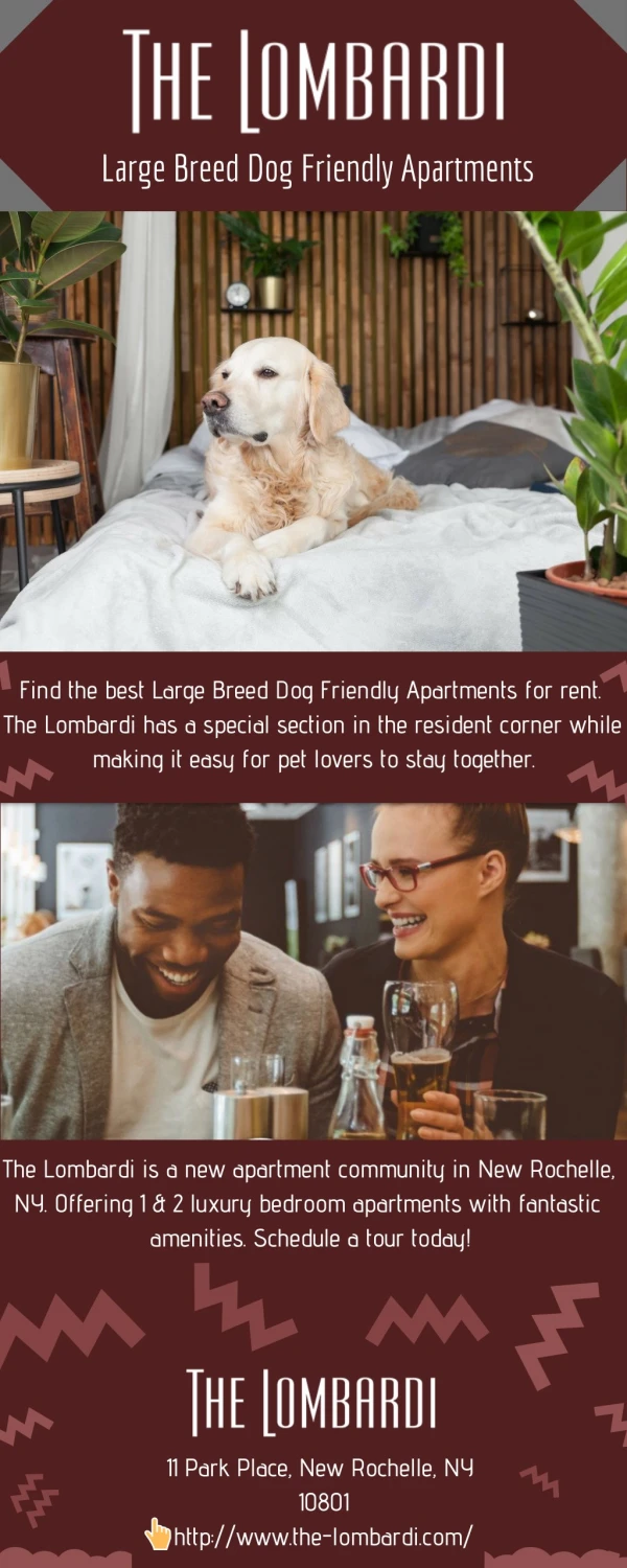 Large Breed Dog Friendly Apartments - The Lombardi