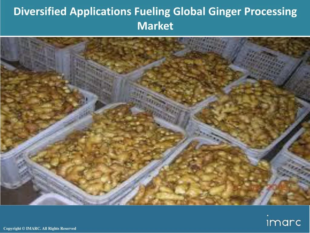 diversified applications fueling global ginger