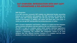 SAP PPT - slide 1