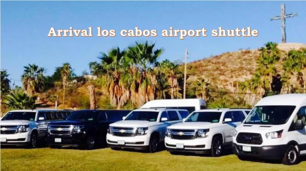 Arrival los cabos airport shuttle