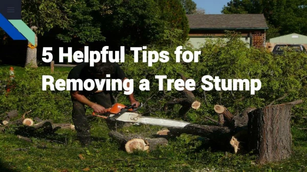 5 Helpful Tips for Removing a Tree Stump