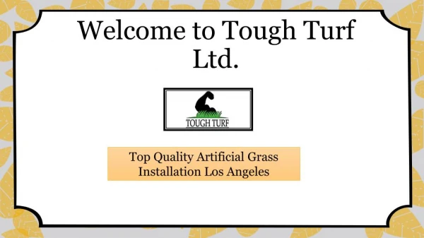 Artificial Grass Los Angeles, California Artificial Grass Turf for Kids