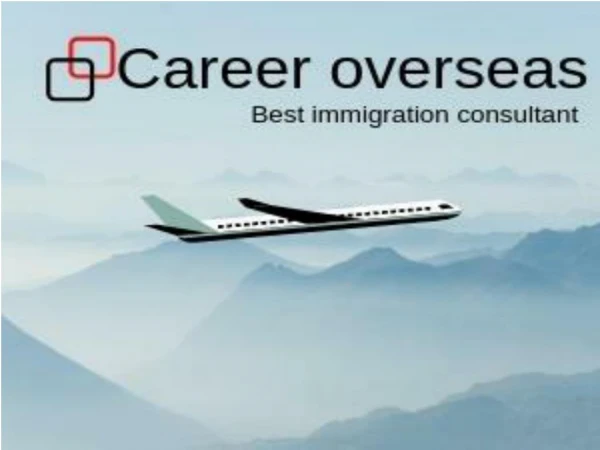 The best immigration consultant