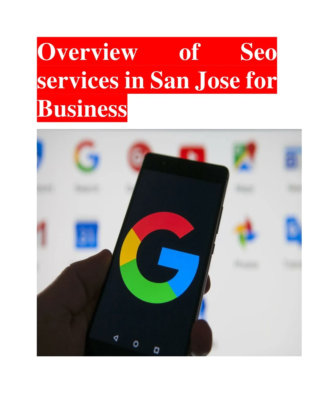 overview services in san jose for business