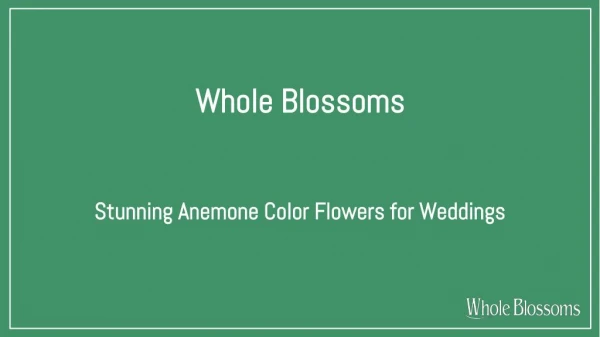 Elegant and Magnificient Anemone Color Flowers for Weddings