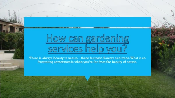 Gardening Services Expert in Santa Barbara, Ca
