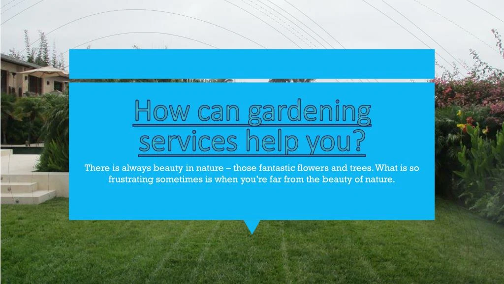 how can gardening services help you