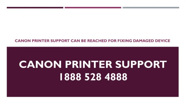Canon Printer Support Can Be Reached For Fixing Damaged Device