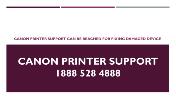 Canon Printer Support Can Be Reached For Fixing Damaged Device- Free PDF