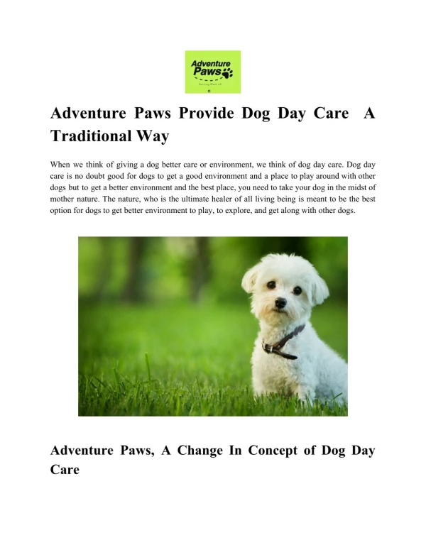 Adventure Paws Provide Dog Day Care A Traditional Way