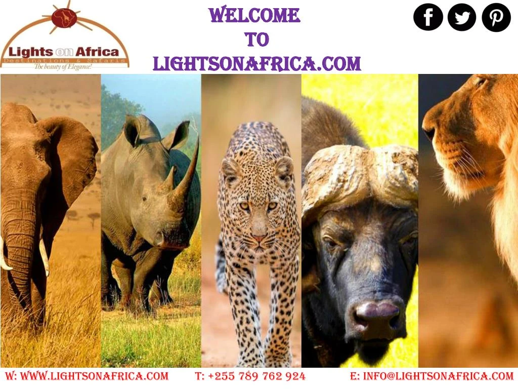 welcome to lightsonafrica com