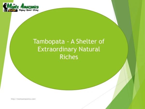 Tambopata - A Shelter of Extraordinary Natural Riches