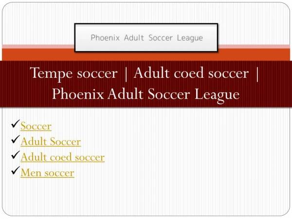 Adult coed soccer