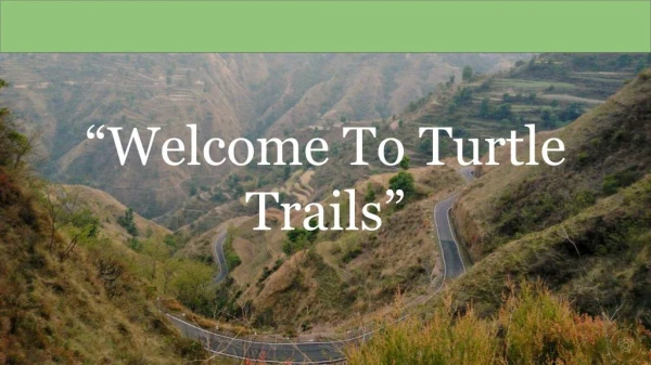 Spiritual Trip to India | Turtle Trails