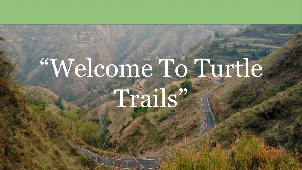 welcome to turtle trails
