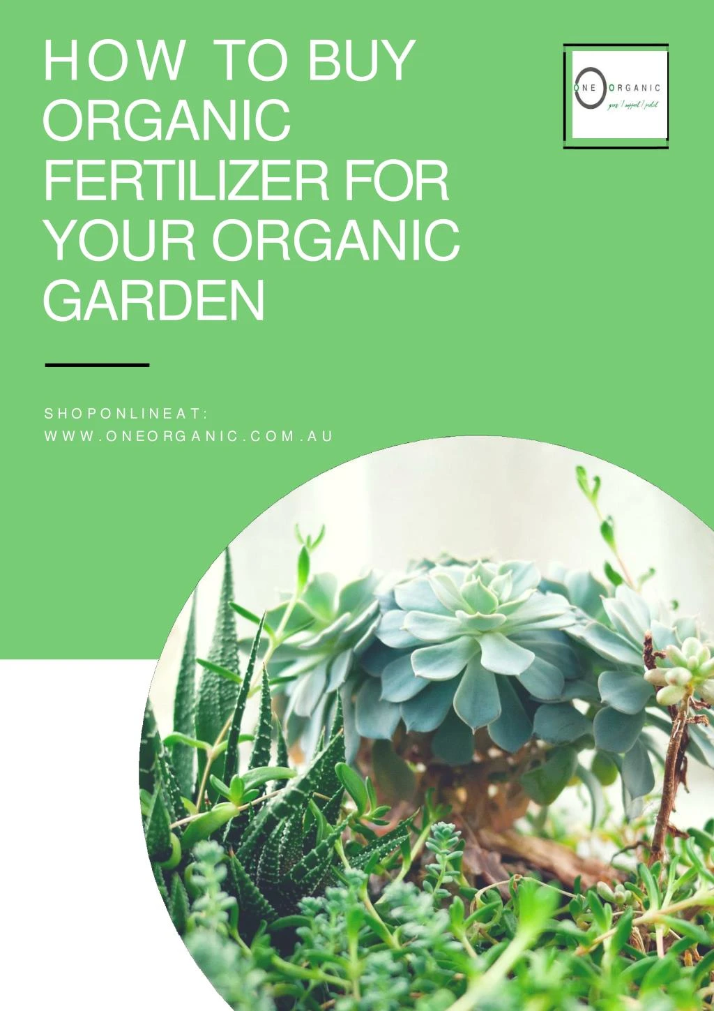 how to buy organic fertilizer for your organic