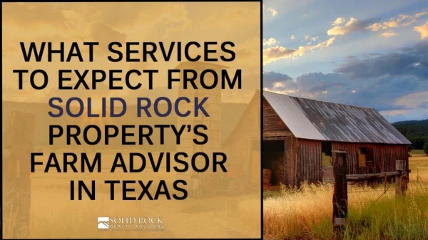 What Services To Expect From Solid Rock Property’s Farm Advisor In Texas