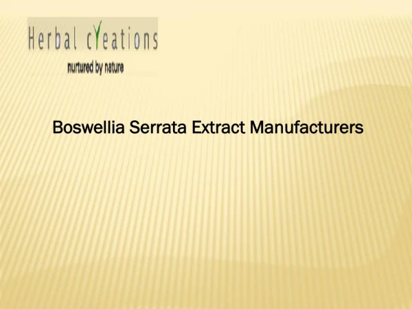 Boswellia Serrata Extract Manufacturers Herbal Creationss