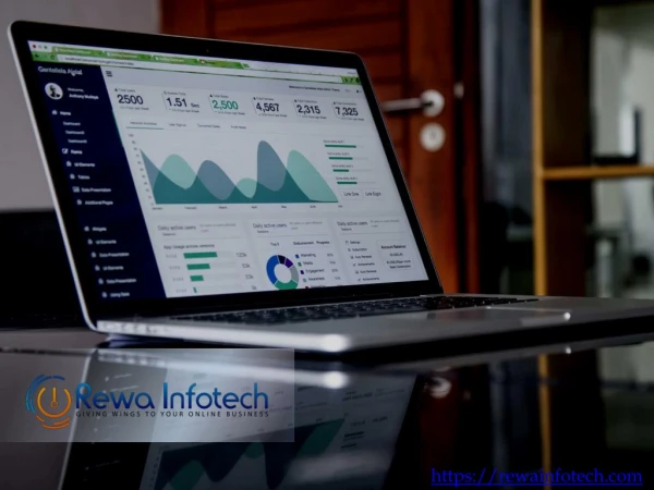 Web Development Company Indore | Rewa Infotech