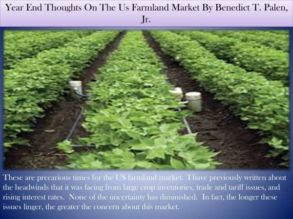 Year End Thoughts On The Us Farmland Market By Benedict T. Palen, Jr.