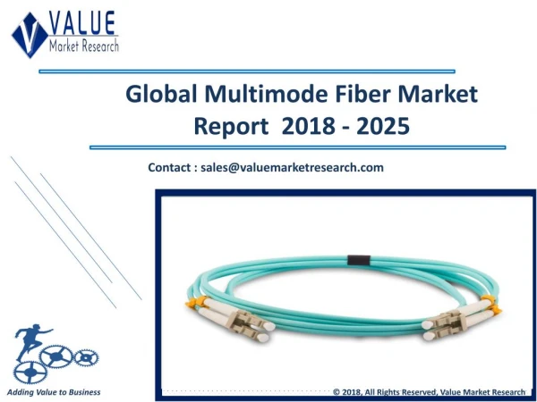 Multimode Fiber Market Share, Global Industry Analysis Report 2018-2025