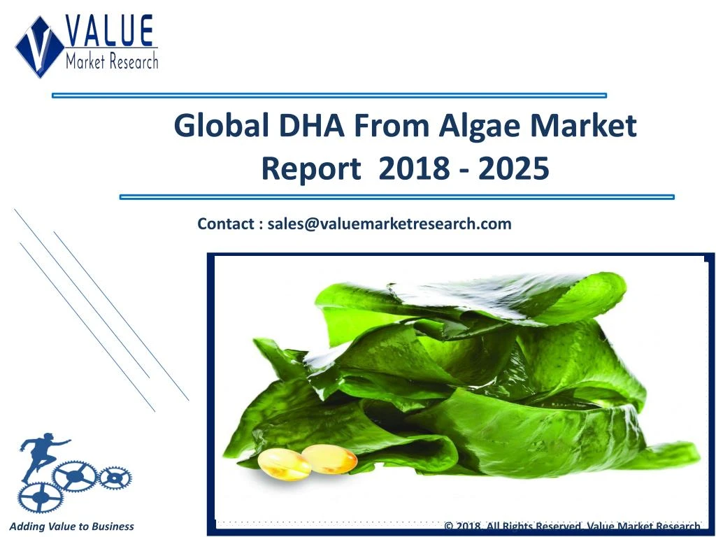 global dha from algae market report 2018 2025