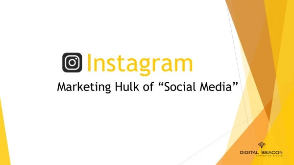 Instagram: Marketing Hulk of Social Media