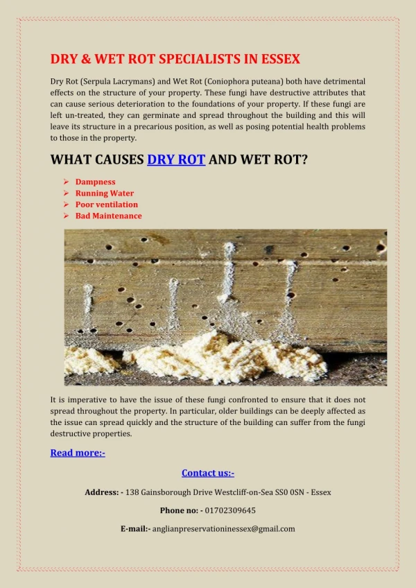 Dry & Wet Rot Specialists in Essex