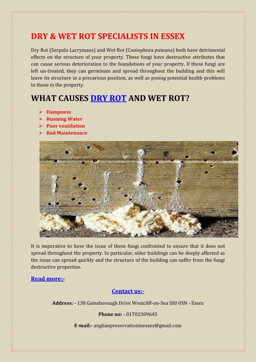 dry wet rot specialists in essex