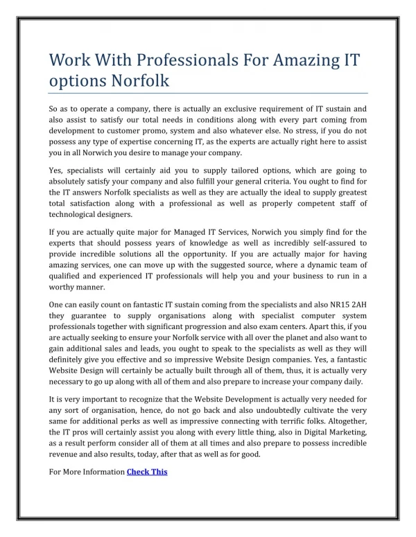 Work With Professionals For Amazing IT options Norfolk