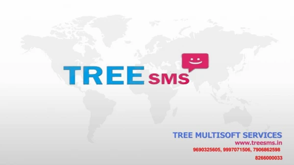 Best Bulk SMS Service Provider in India