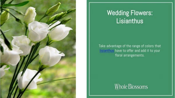 Use Beautiful Lisianthus Flower in Your Floral Arrangements
