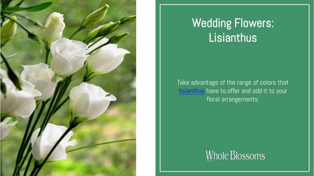 wedding flowers lisianthus