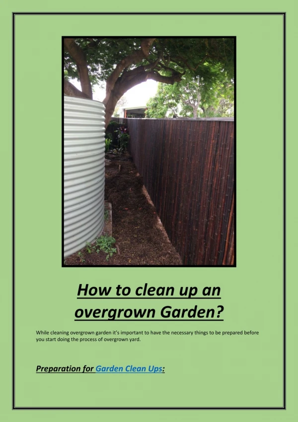 How to clean up an overgrown Garden?