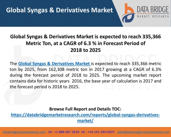 Global Syngas & Derivatives Market 2018-2025-PDF