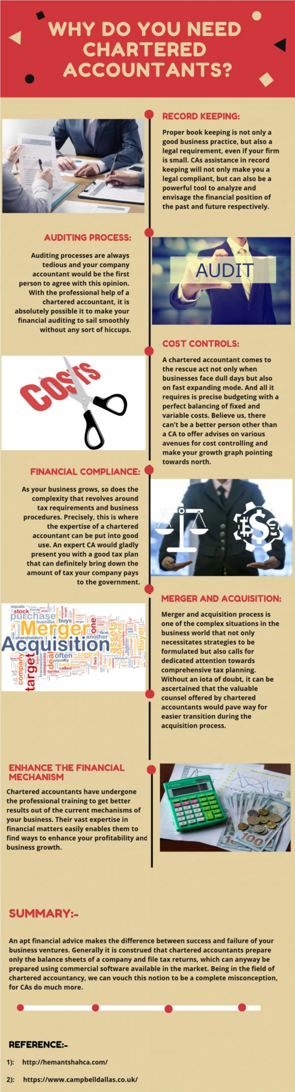 Why do you need charted accountant?